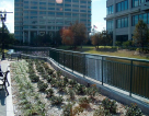 Retention Pond Railing