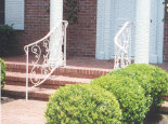 Front Step Rails with panels #PR-6)