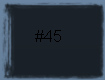 #45